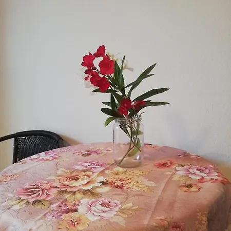 Anestis 圣乔治斯