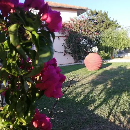 Appartement Anestis 2 Ágios Geórgios