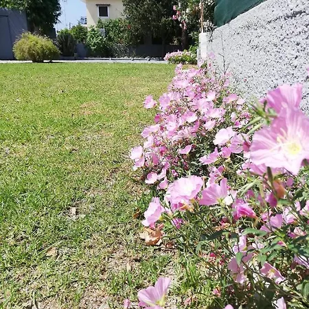Anestis Apartament *