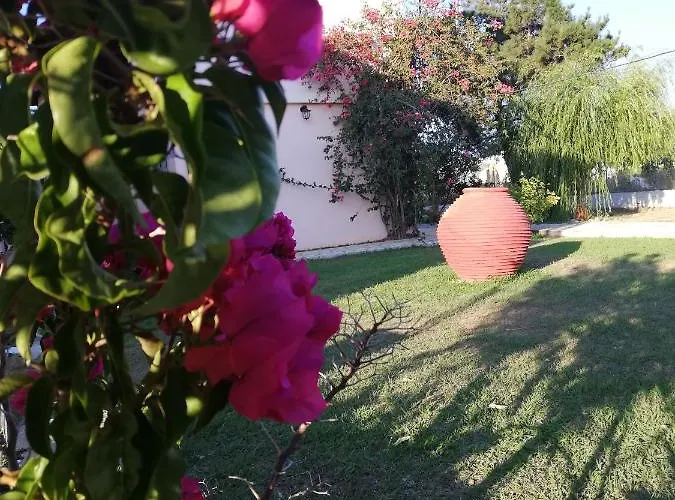 公寓 Anestis 圣乔治斯