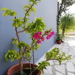 Anestis Apartmán *
