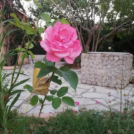 Anestis דירה