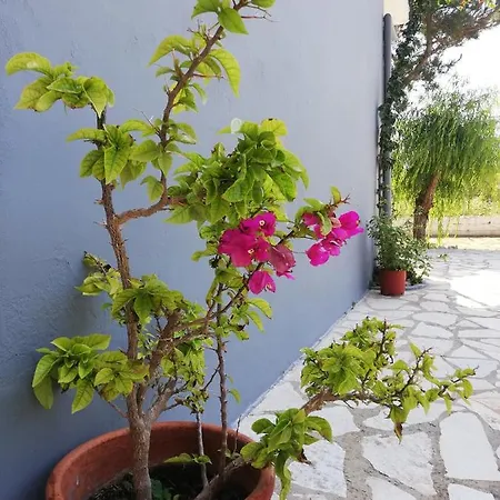 Anestis דירה *